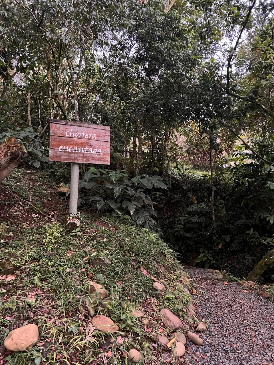 Lote en Reserva Río Claro – Jamundí — foto 5
